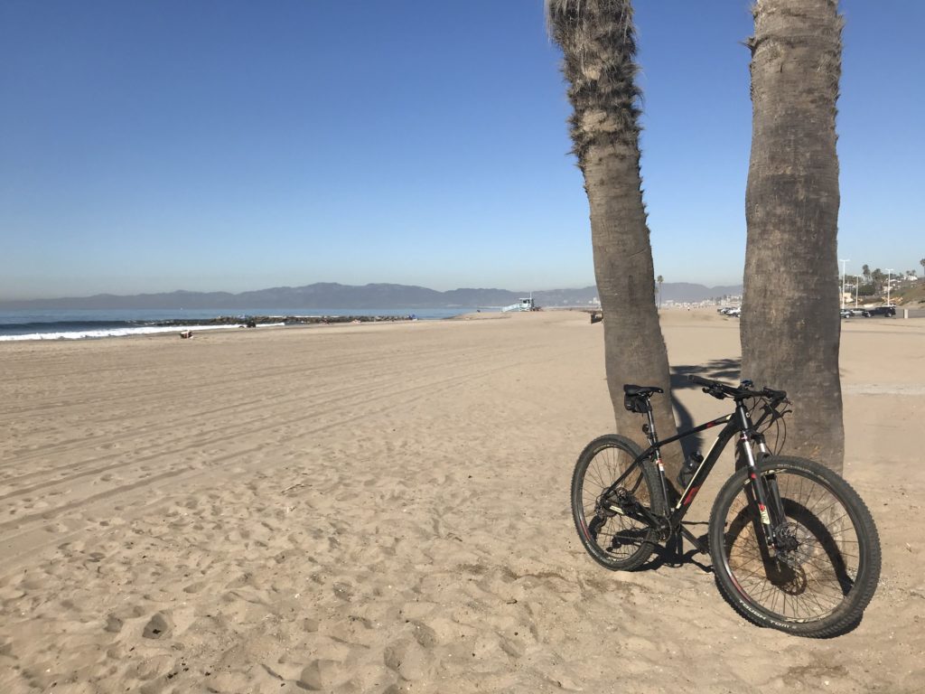 MTB Beach Tree